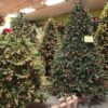 Christmas Trees Pallets For Sale