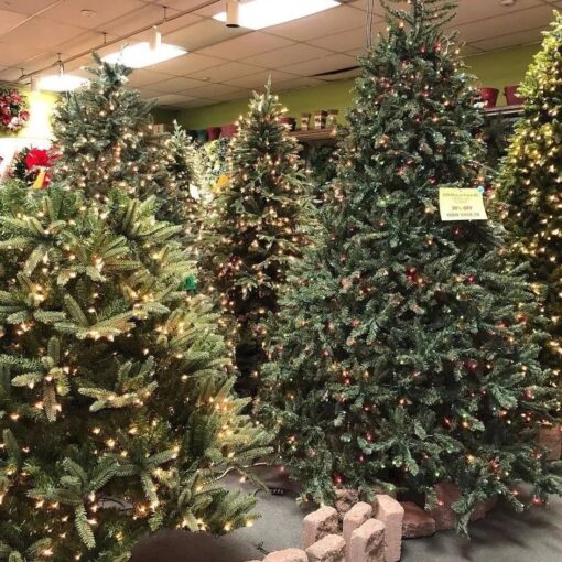 Christmas Trees Pallets For Sale